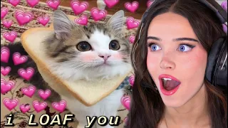 Memes That Have a Really Bad Sunburn...