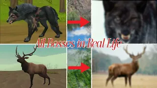 WildCraft: All Bosses in Real Life (updated)