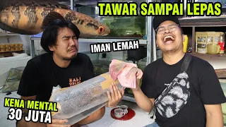 BAWA CASH 30 JUTA! TAWAR CHANNA RED BARITO KOLEKSI PRIBADI BANG EKA NAWA