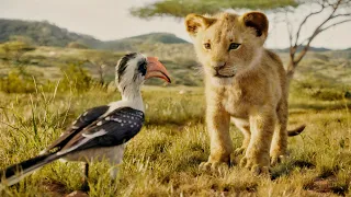 Simba, Avenges the Murder of his Father Mufasa and Becomes a True King. Summarized Story hindi/اردو