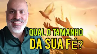 QUAL o TAMANHO da sua FÉ? Uma HISTÓRIA de MOTIVAÇÃO e FOCO #motivacao #megasena #premios