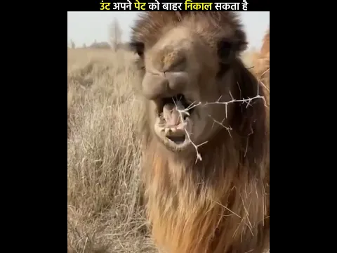 #zarooratrishta