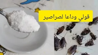 ملعقة وحدة منو رح تتخلصي نهائيا من الڨرلو رح تشوفي بعينك كيفاه يموتو كامل 😱 ⁦☑️⁩ خلطة سحرية