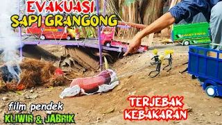 Kliwir & Jabrik_Sapi Grandong Terjebak Kebakaran#sapigrandongterjebakkebakaran
