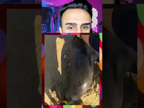 يوتيوب نور🙄حدث غامض كلهن يركضن عـليه انـشلع جـلده افتر رساة شون عايشة😳😰