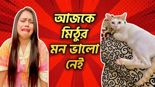 আজকে মিঠুর মন ভালো নেই 🐈🥺 | #MimiMithu