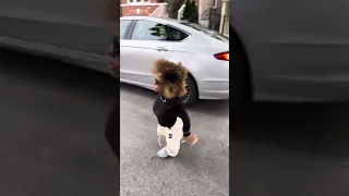 Why You Being Sneaky‼️ (FULL VIDEO) @Dabrattfromthechi
