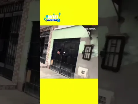 गोरा अंग्रेज तो गियो 🤣  | Random Epic Funny Video