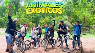 RUTA EXTREMA EN BICICLETAS 2.0 CON SOÑADORES 🚴‍♀️😂 Animales raros y palomitas de maíz 🌽🍿 Grillo