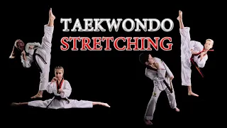 Ultimate Taekwondo Stretching Routine for Flexibility and Power