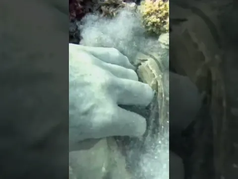غواص شاف القران الكريم في اعماق القاع!!