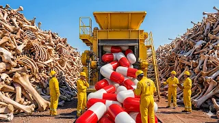 How Animal Bones Are Turned Into Pharmaceutical Capsules | Complete Factory Process 🧐