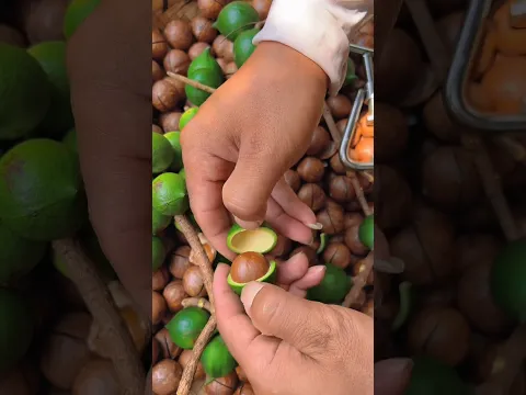 Cutting Macadamia Nuts at Home #shorts #satisfying #dryfruits ...
