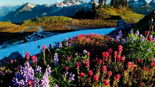 अगर आप सफल होना चाहते हो तो आपको अपने काम में एकाग्रता लानी होगी..” – radhe radhe 🙏🥰