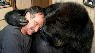 When Robin Williams Visited Koko the Gorilla