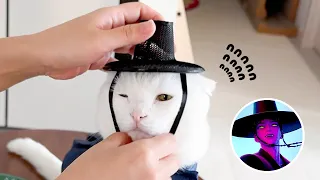 이상한 거 또 사왔네... (귀여움 주의 ⚠️)