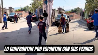 Irresponsable trae sueltos a Cane Corso y Malinois espantando a la gente 😱
