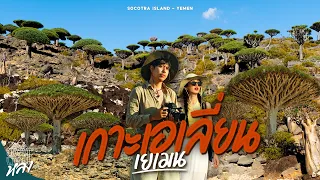 ป่าเลือดมังกรผืนสุดท้ายบนโลก ที่เกาะเอเลี่ยนสุดแปลก Socotra island - Yemen| อาสาพาไปหลง