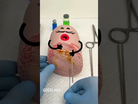 Can Doodles Really Master Fruit Surgery in Just 1 Hour?