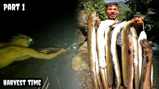 Namangha kami sa aming pagbabalik sa Lugar ng Kasili | Ang Dami nila #ytviralvideo #TGBTG