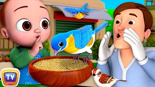 Helping Daddy Song with Baby Taku - ChuChu TV Baby Nursery Rhymes and Kids Songs #BabyTaku