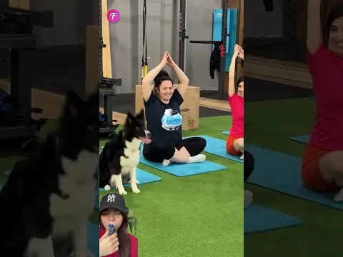 DOGY MAU IKUT SENAM ⁉️