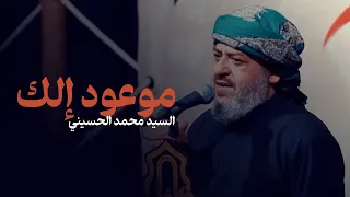 لطم - موعود إلك هذا اليوم | لو تستمع یا عباس | سيد محمد الحسيني 1446 هـ