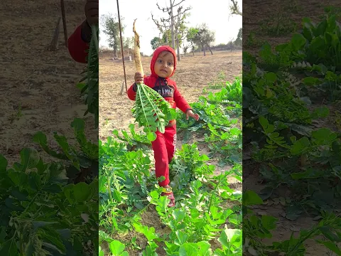 रूद्र मूली 🥕 लेकर आया 😇 #shorts #farming #poor