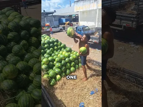 Amazing Watermelon Skills 😨