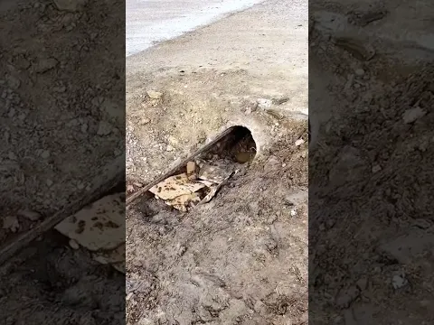 KEREN !! Cara Cerdas Mencegah Banjir