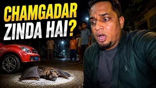 Chamgadar Zinda Hai Kya? 😱 Pehli Baar Live Dekhi! | Shocking Vlog