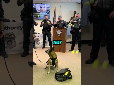 Years of Service… Rewarded With Pure Joy 💛🐾