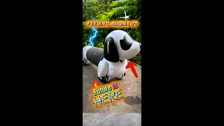 unboxing of Intelligent dog full unboxing - Remote control smart sensor Dog - playmaster video