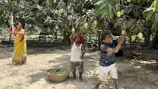 ढोरबा गाछी में आम चोरी #maithili_comedy_dhorba #chunalal