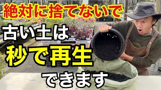 【ふるいや消毒はもう要らない】とんでもなく簡単な古い土の再生法教えます　　　　　【カーメン君】【園芸】【ガーデニング】【超カルスNC-R】