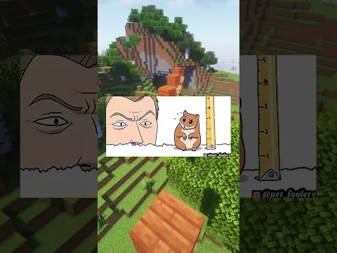 Rompecabezas