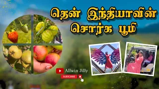 பழங்களின் கிராமம் காந்தலூர் |South India's Kashmir | Fruits Paradise Kanthalloor #allwinjilly