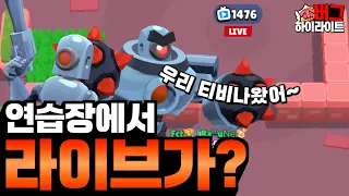 브롤스타즈 버그 하이라이트 28화