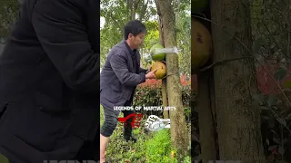 Kickboxing training Breaking Coconut with Leg. #kickboxing #martialarts #kungfu #fighter #training