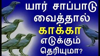 யார் சாப்பாடு வைத்தால் காக்கா எடுக்கும் தெரியுமா? | feed to crow |#nammabhoominammasamy