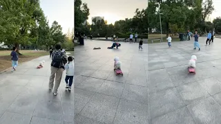 Public reaction 🤯 Cute Dog Playing Skateboard