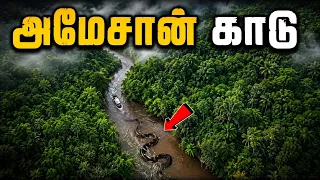 அமேசான் காட்டுக்குள் என்ன இருக்கிறது? 😱 உலகின் மிகப்பெரிய மர்மமான காடு! || Fact Tamil