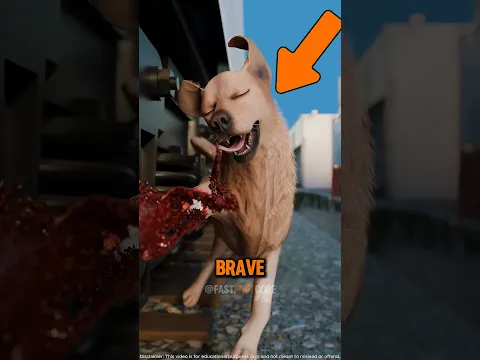 These Dogs Risked Everything to Save Humans… and the Last One Will Melt Your Heart 🐾❤️