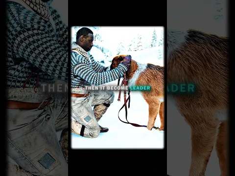 "After Save All" || kamin (slowed) #shorts  #edit