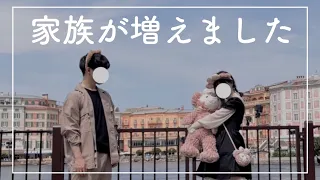 【愛娘】愛の重い彼女が彼氏にぬいぐるみをプレゼントするだけ【ディズニー】