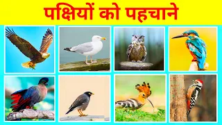 🧠 99% लोग इन पक्षियों का नाम नहीं बता पाए! क्या तुम बता पाओगे? 🤔 #BirdChallenge #BirdQuiz