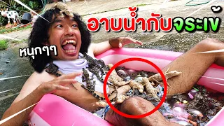 ระวังอันตราย อย่าอาบน้ำกับจระเข้ 100 ตัว น้องชาร์ปแย่แล้ว!! #เบบี๋นรก EP19