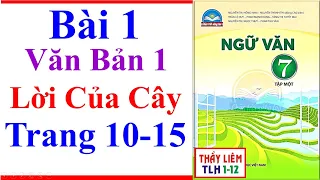 Ngữ Văn 7 Bài 1 | Lời Của Cây | Trang 10 15 | Chân Trời Sáng Tạo | Văn Bản 1