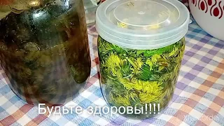 НАСТОЙКА ОДУВАНЧИКА от 100 БОЛЕЗНЕЙ. Растирка для ног, суставов, жаропонижающее средство