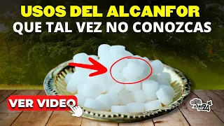 8 Usos del Alcanfor que Tal vez no Conozcas ➜ Para qué Sirve el ALCANFOR